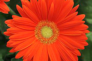 À̹ÌÁö¸¦ Ŭ¸¯ÇÏ½Ã¸é ¿øº»»çÀÌÁî·Î º¸½Ç ¼ö ÀÖ½À´Ï´Ù.