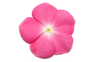 À̹ÌÁö¸¦ Ŭ¸¯ÇÏ½Ã¸é ¿øº»»çÀÌÁî·Î º¸½Ç ¼ö ÀÖ½À´Ï´Ù.