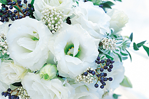À̹ÌÁö¸¦ Ŭ¸¯ÇÏ½Ã¸é ¿øº»»çÀÌÁî·Î º¸½Ç ¼ö ÀÖ½À´Ï´Ù.