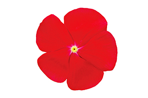 À̹ÌÁö¸¦ Ŭ¸¯ÇÏ½Ã¸é ¿øº»»çÀÌÁî·Î º¸½Ç ¼ö ÀÖ½À´Ï´Ù.