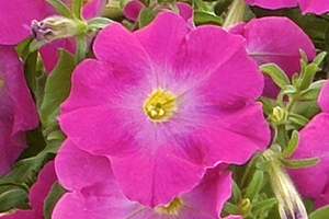 À̹ÌÁö¸¦ Ŭ¸¯ÇÏ½Ã¸é ¿øº»»çÀÌÁî·Î º¸½Ç ¼ö ÀÖ½À´Ï´Ù.