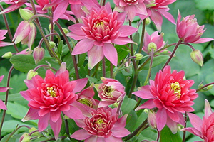 À̹ÌÁö¸¦ Ŭ¸¯ÇÏ½Ã¸é ¿øº»»çÀÌÁî·Î º¸½Ç ¼ö ÀÖ½À´Ï´Ù.