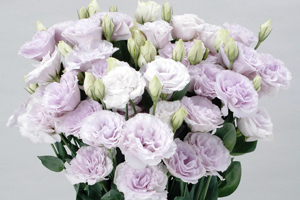 À̹ÌÁö¸¦ Ŭ¸¯ÇÏ½Ã¸é ¿øº»»çÀÌÁî·Î º¸½Ç ¼ö ÀÖ½À´Ï´Ù.