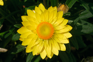 À̹ÌÁö¸¦ Ŭ¸¯ÇÏ½Ã¸é ¿øº»»çÀÌÁî·Î º¸½Ç ¼ö ÀÖ½À´Ï´Ù.